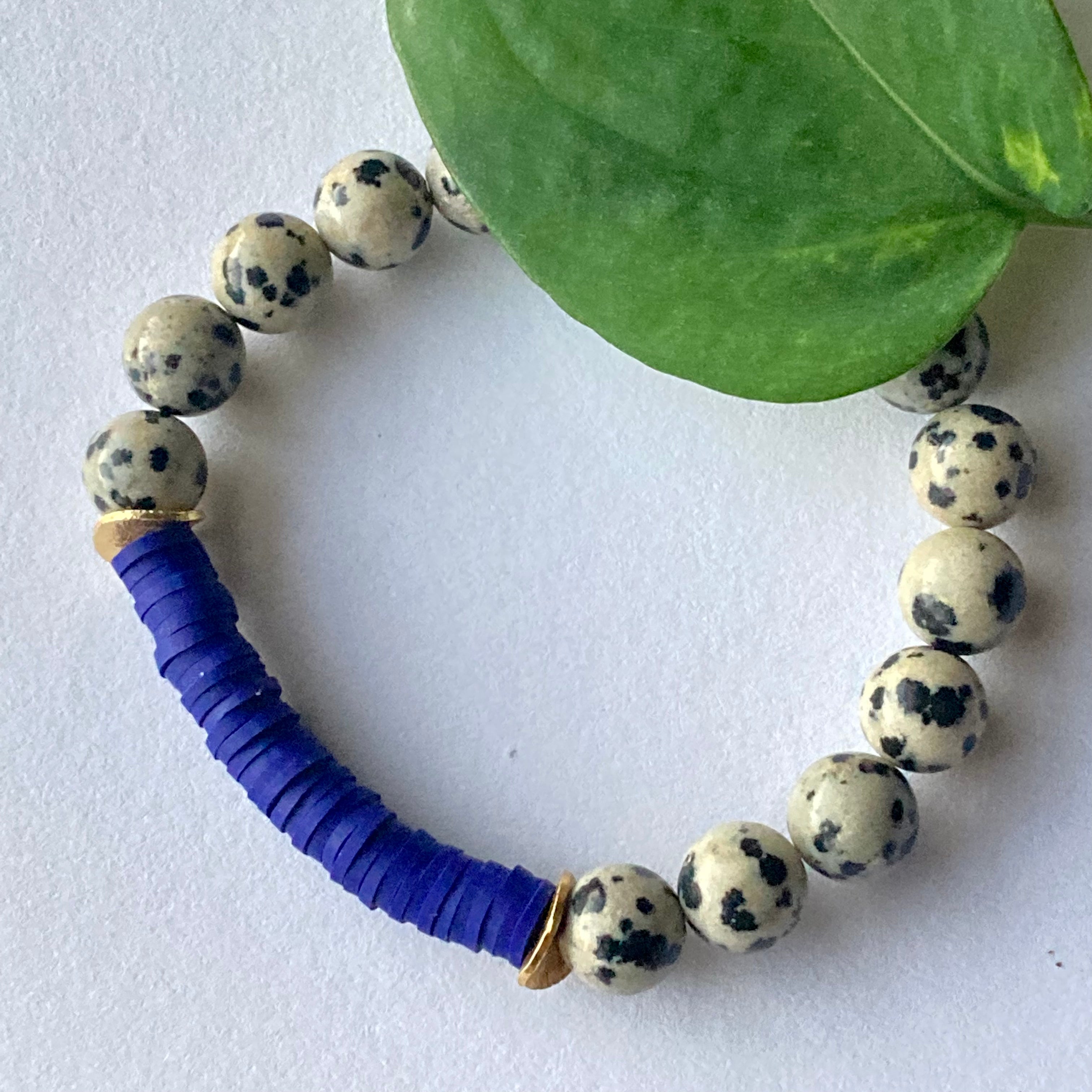DALMATIAN JASPER & CLAY | Navy