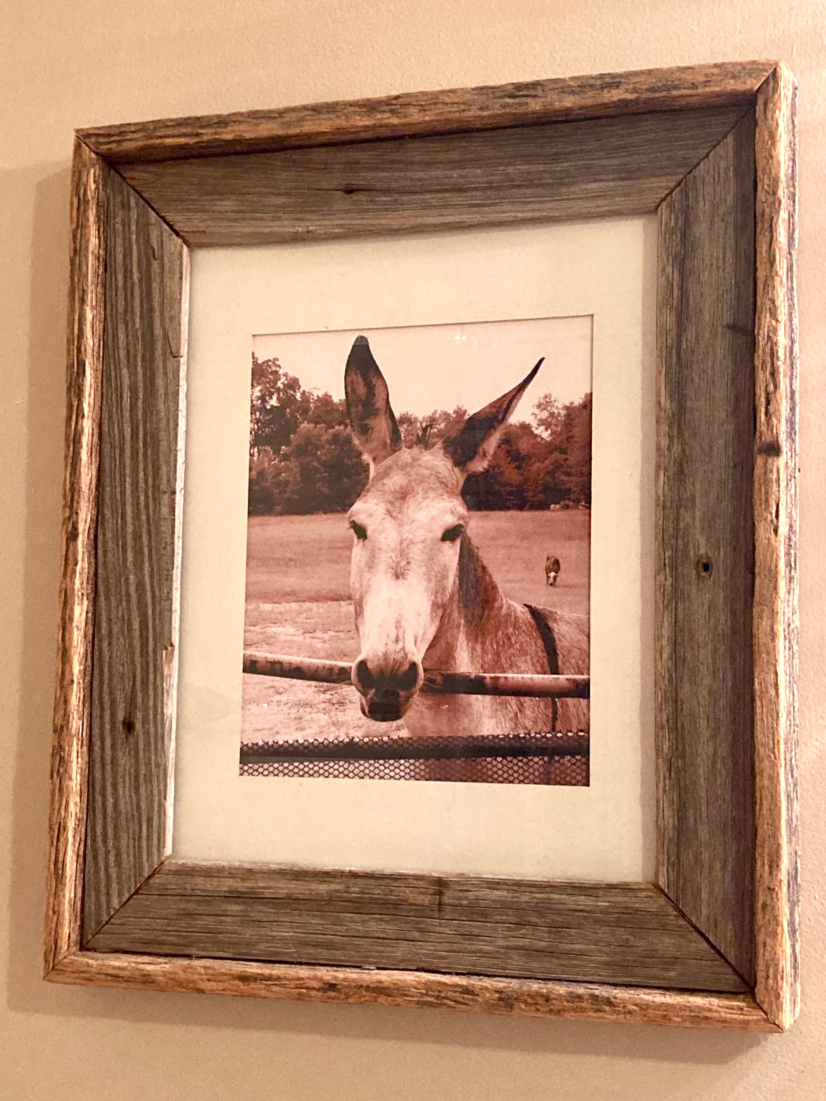 MULE PRINT 8x10 | Sepia Tone