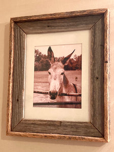 MULE PRINT 8x10 | Sepia Tone